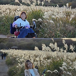 맥장애인자립생활센터 집단ILP 여행, 자립의 시작 in jeju